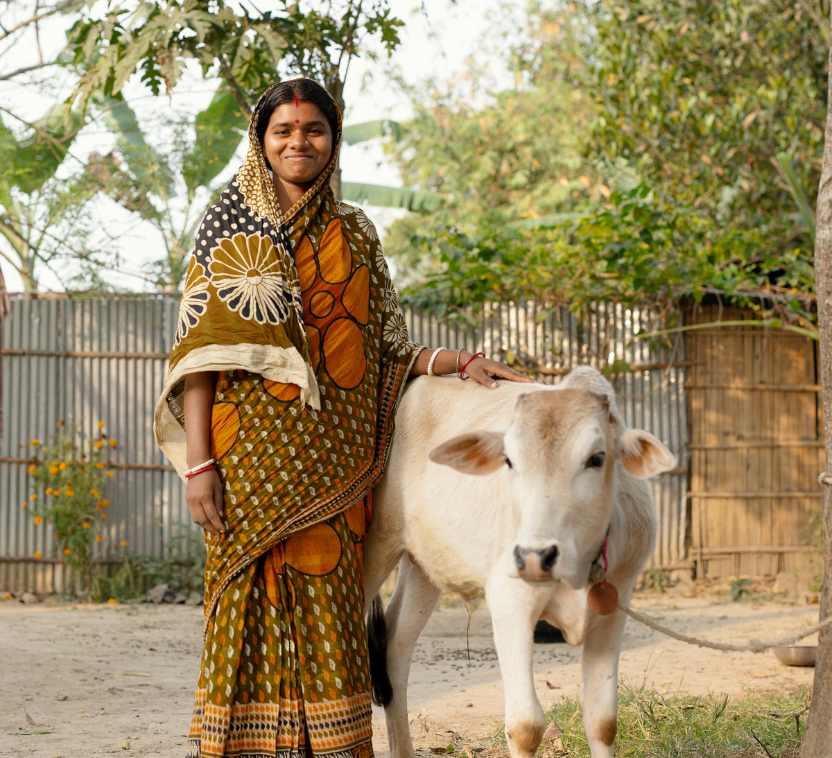 Cow Funder Initiative