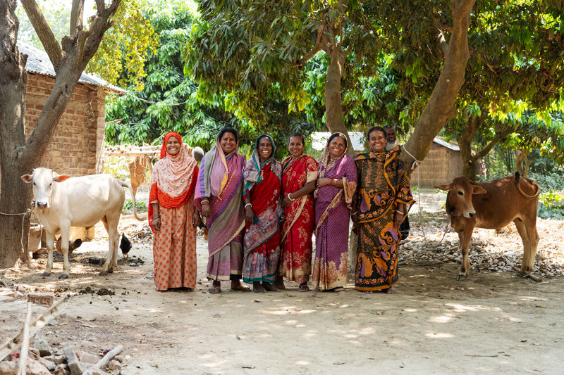 So funktioniert The Cow Funder Initiative