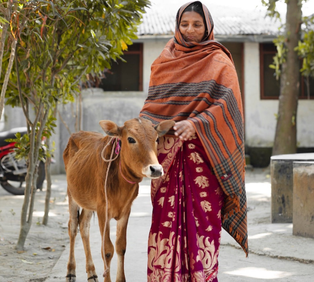 The Cow Funder Initiative